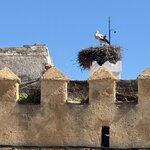 Photo taken by Mark W