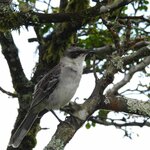 Photo taken by Patricia D