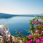 Red bougainvillea contrast with the blue of the caldera | Photo taken by David B