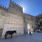 Photo taken by Kristen Y