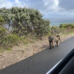 Photo taken by Brad P