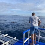 Photo taken by marisa s