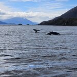 Photo taken by Stefani C