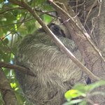 Photo taken by Cathy T