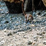 Photo taken by Brett F