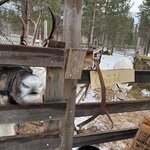 Photo taken by chelsea t