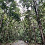 Photo taken by Edit M