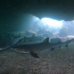 Photo taken by Barry T