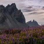 Photo taken by Kim C