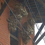 Photo taken by Karen W