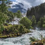 Photo taken by Dani L