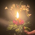 Photo taken by David W