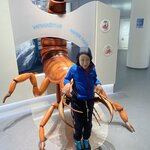 Photo taken by hanoch f