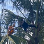 Photo taken by Darcy M