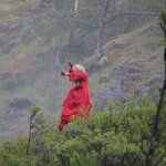 Photo taken by Chris M