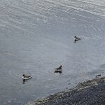 Photo taken by Tom B