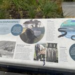 Photo taken by Walt N