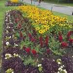 Photo taken by Ruth R