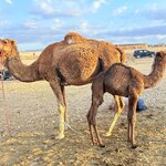 Photo taken by Patricia O