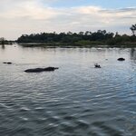 Photo taken by Yin Ling K