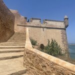 Photo taken by Allison O