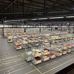 Photo taken by Kaitlyn C