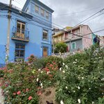 Photo taken by Carmen P