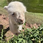 Photo taken by Lindsey B