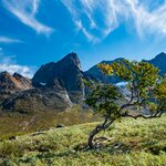 Photo taken by Ari B