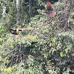 Photo taken by Shanthi V