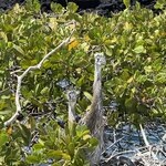 Photo taken by Lisa P