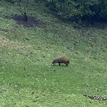 Photo taken by Donna G