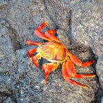 Photo taken by Natascia V