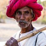 Goat Herder, Road to Udaipur | Photo taken by Jean M