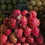 Photo taken by Marion M