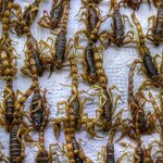 Photo taken by Cary W