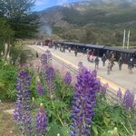 Photo taken by Thomas V