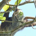 Photo taken by Brett F