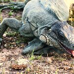 Photo taken by Dennis H