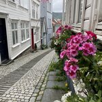 Photo taken by Owen B