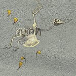 Photo taken by Martha H