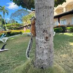 Photo taken by Mandy F