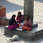 Photo taken by Carina S