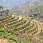 Photo taken by Jenny W