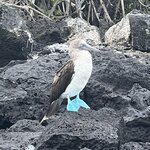 Photo taken by Thomas R