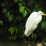 Photo taken by Alex V