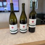 Photo taken by Mary B