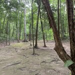 Photo taken by Christine H