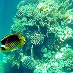 Photo taken by Maryann S