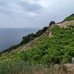 Photo taken by Stéphane V